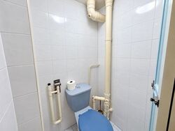 Blk 98 Toa Payoh Palm Spring (Toa Payoh), HDB 3 Rooms #632058761